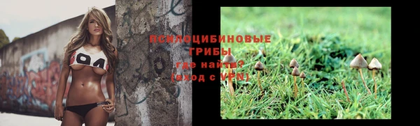 ALPHA PVP Алзамай