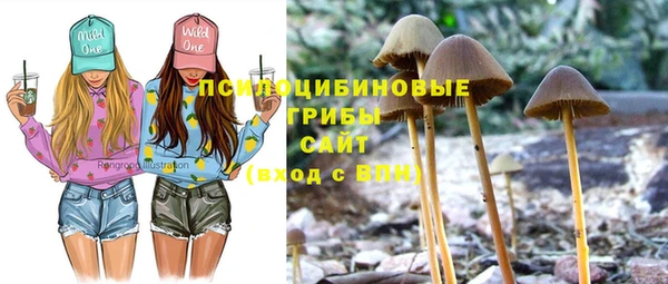 меф Алексеевка