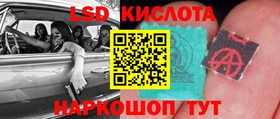 стафф Донецк
