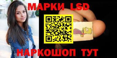 стафф Донецк