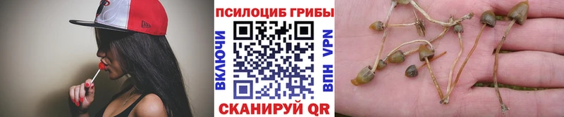 Галлюциногенные грибы мухоморы  Златоуст 