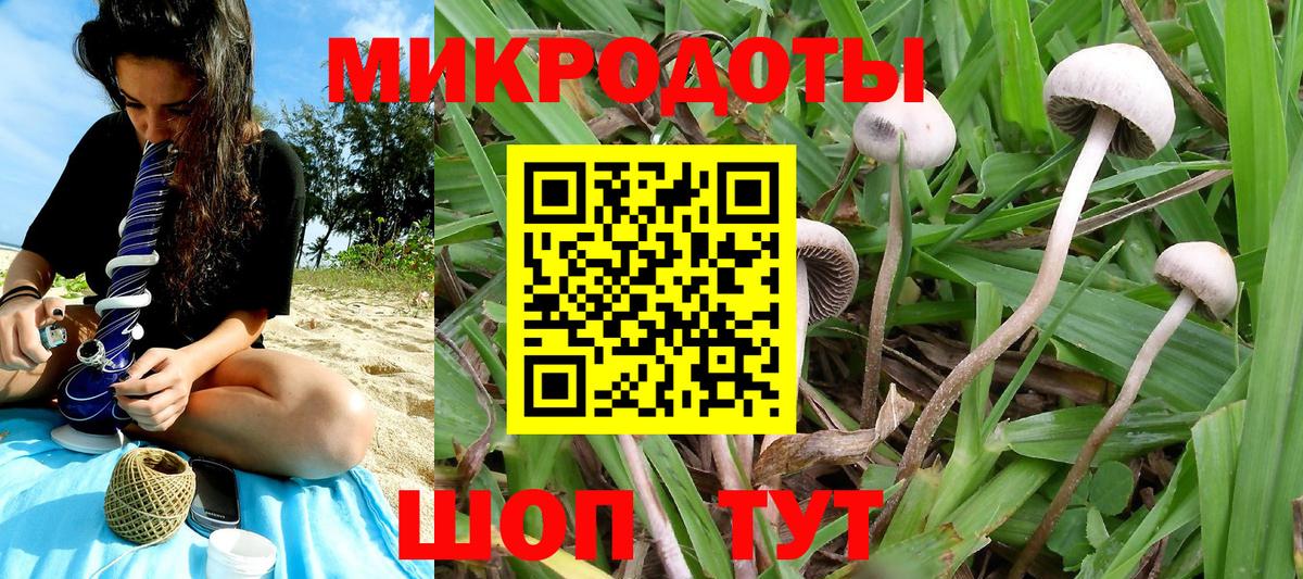 Галлюциногенные грибы ЛСД Златоуст